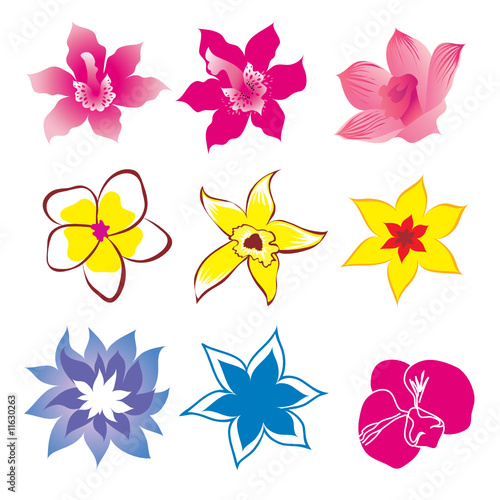 Set of flower design elements photo