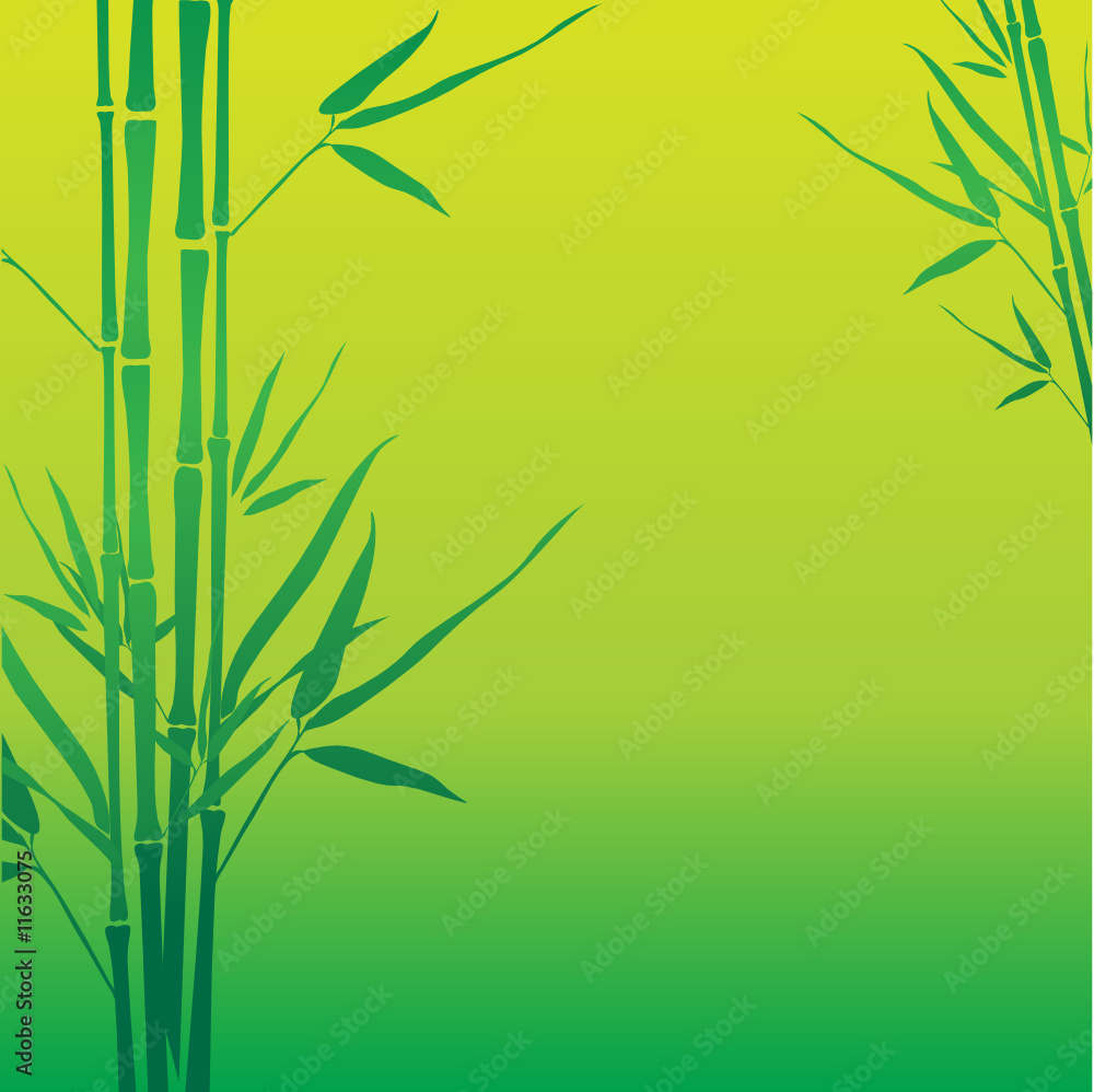 Obraz premium Bamboo background