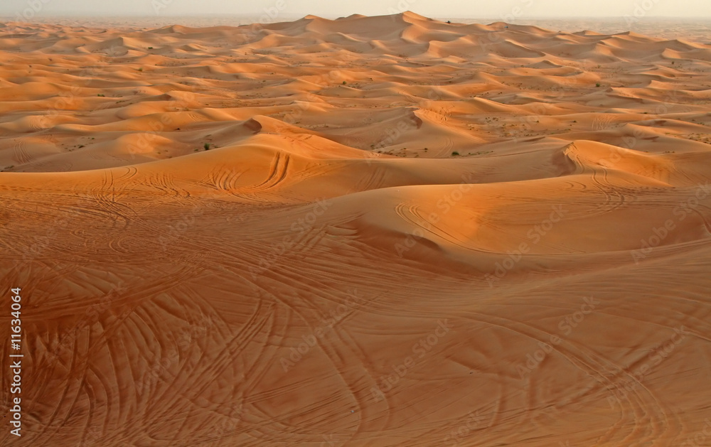 Obraz premium Wüste, Dünen, Vereinigte Arabische Emirate