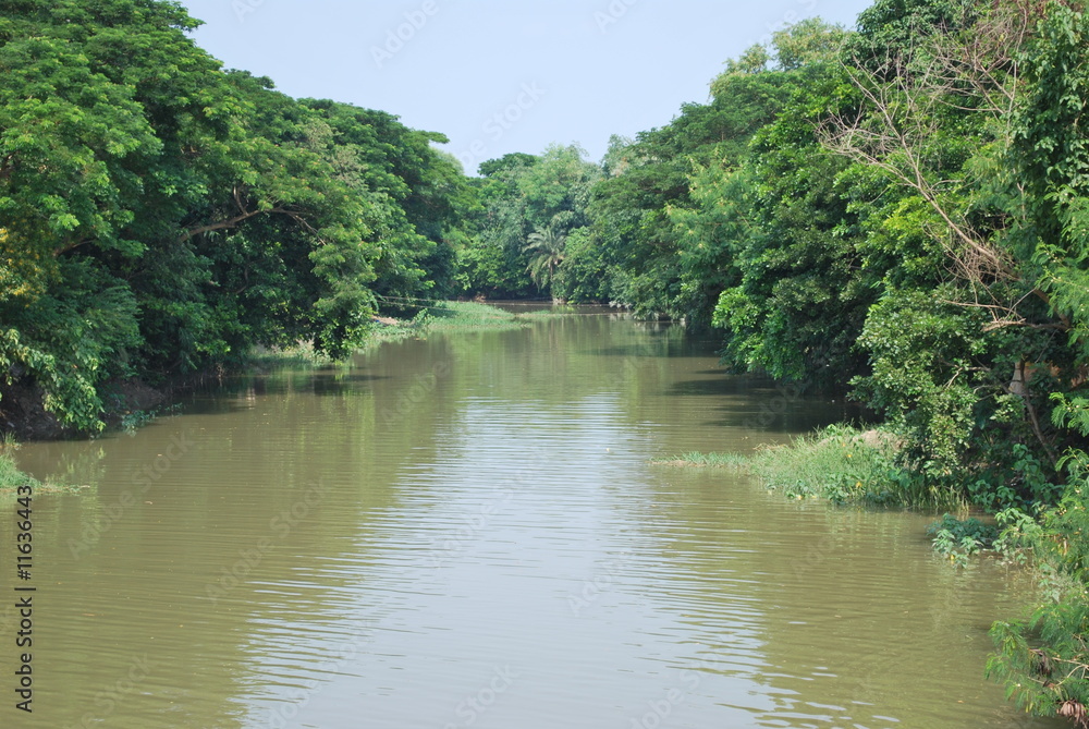 Fototapeta premium Riverway