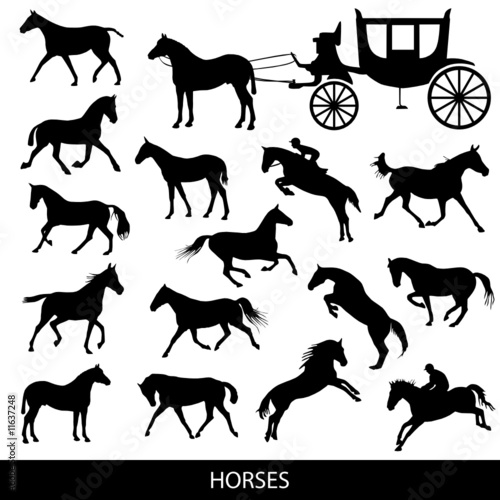 horses silhouettes