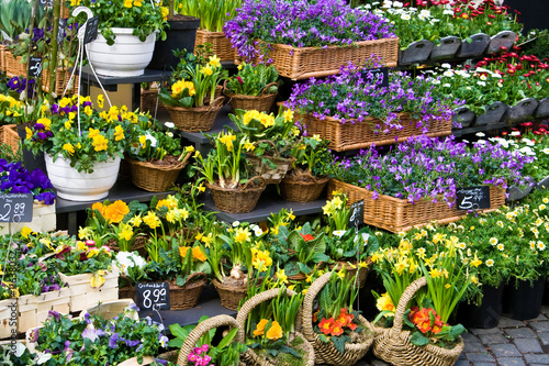 Blumenladen, flower shop photo