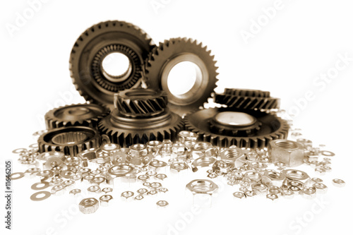 Cogs and nuts