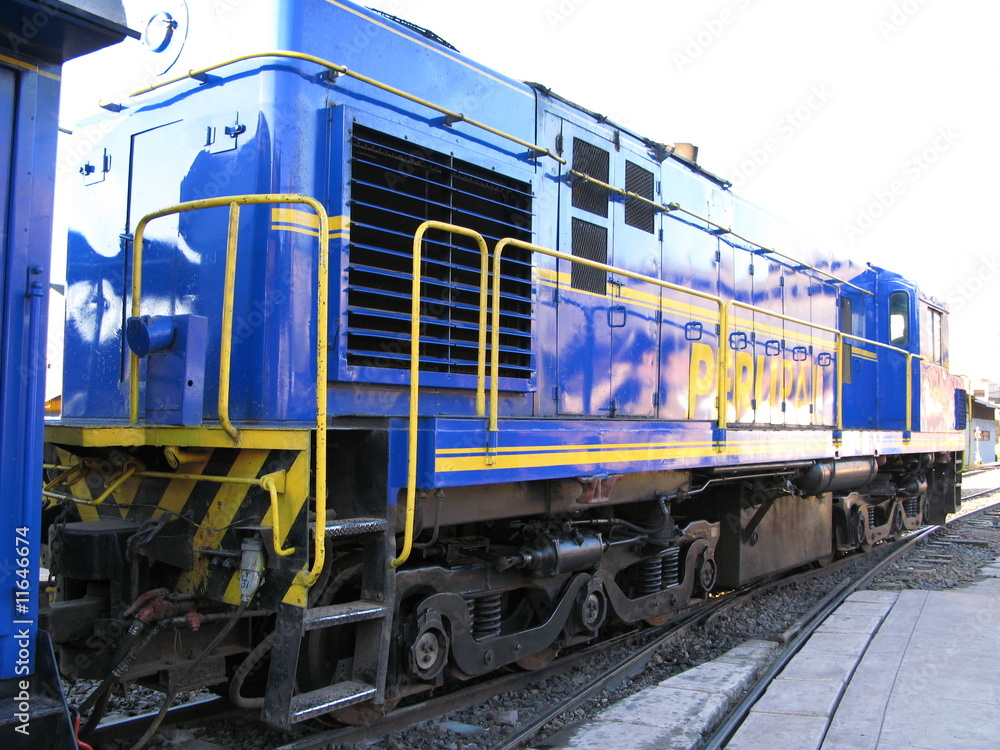 Obraz premium マチュピチュへ