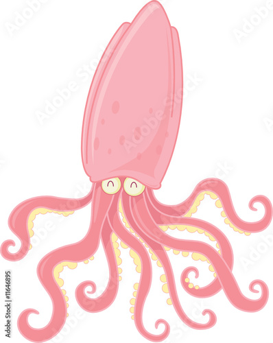 pink squid