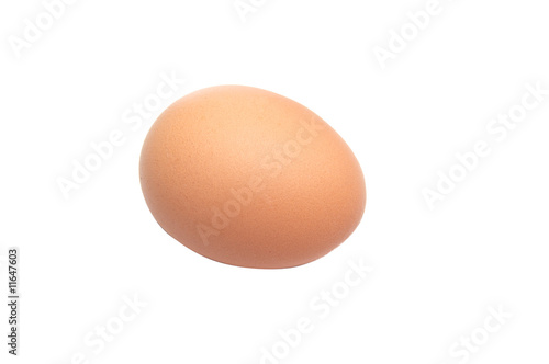 Alone egg on a white background.