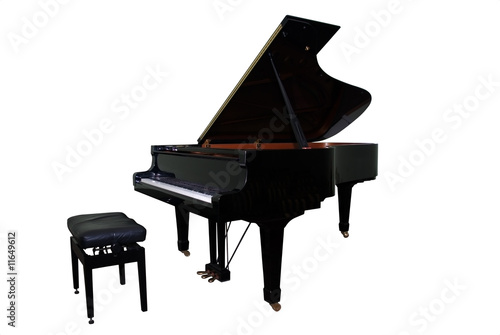 Принти на полотні isolated grand piano