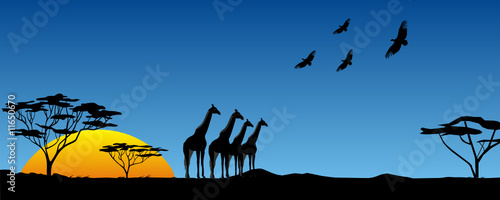 Tramonto africano