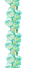 Flower (fresia) border design