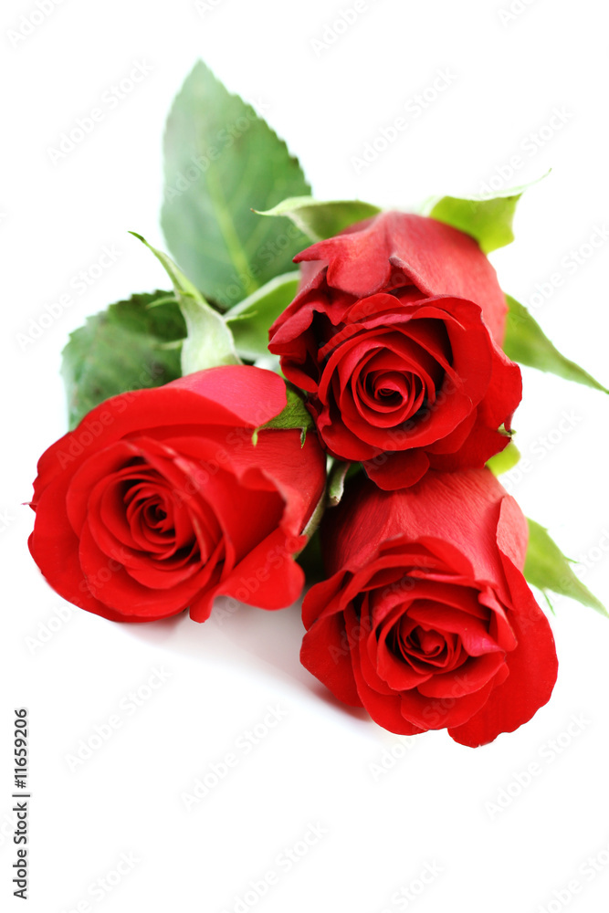 three roses three roses