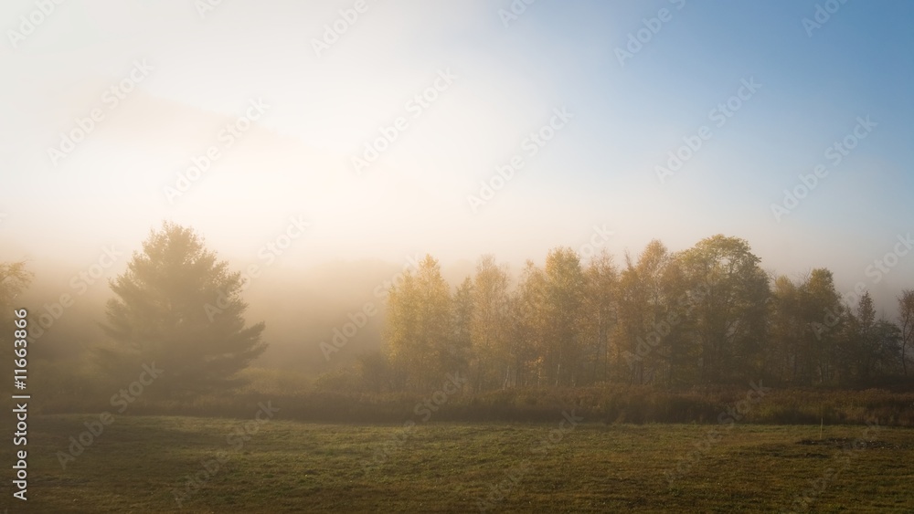 Hazy meadow lit by first rays of soft light