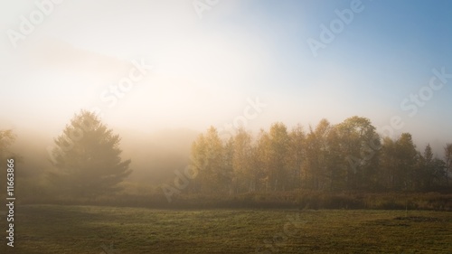 Hazy meadow lit by first rays of soft light