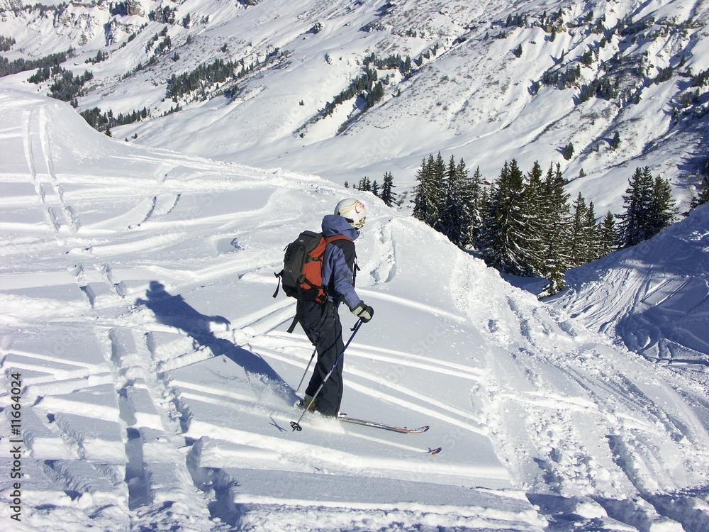 ski en neige poudreuse