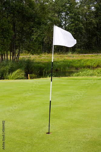 golf flag hole