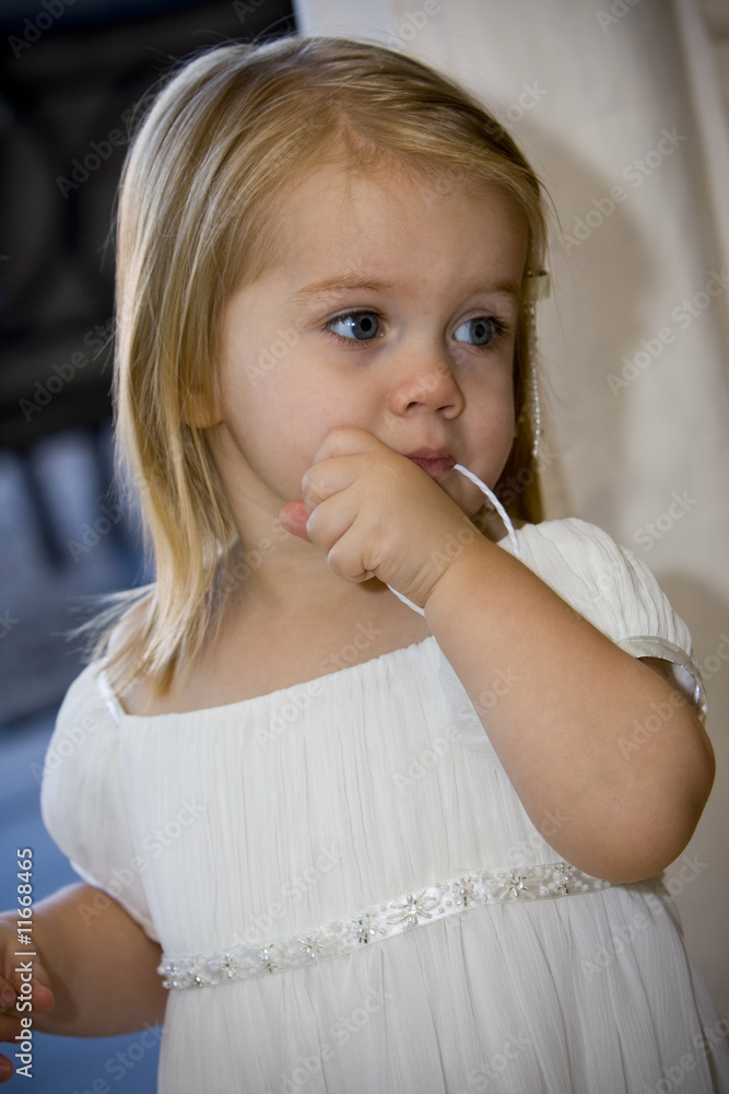 Portrait of Beautiful Girl in Elegant Dress Portrait of Beautiful Girl in Elegant Dress