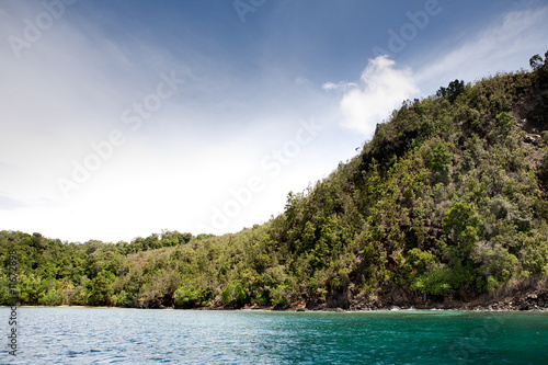 Tropical Beach © Tyler Olson