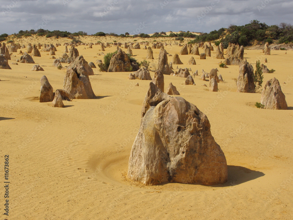 Fototapeta premium Pinnacles desert