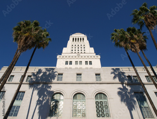 Palm Trees at City Hall