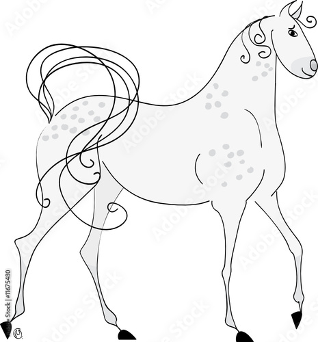 psar gris profil