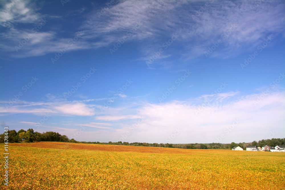 Obraz premium Farm Landscape