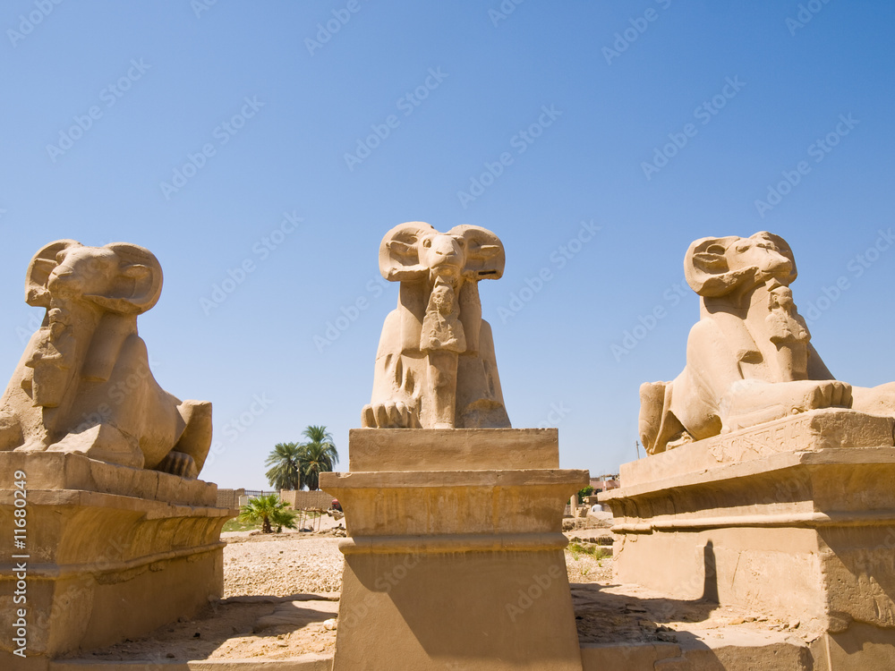 Ram-headed sphinxes at Karnak Temple. Thebes.