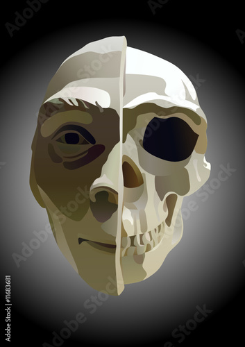 the illustration of human head with part of skull