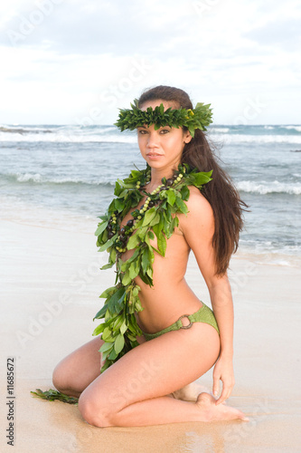 hawaiian hula dancer