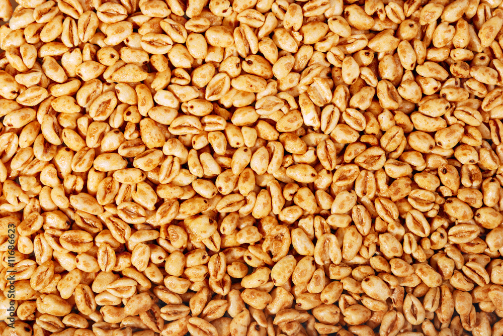 Popped wheat grains Popped wheat grains