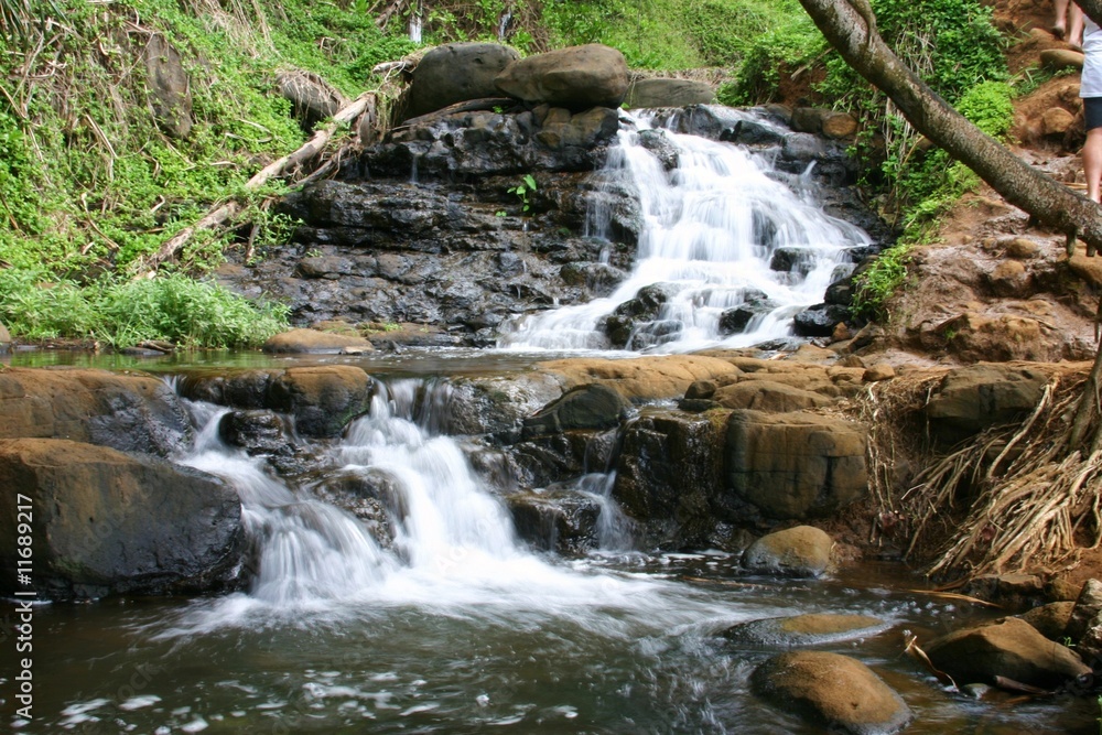 Obraz premium Hawaii Waterfall