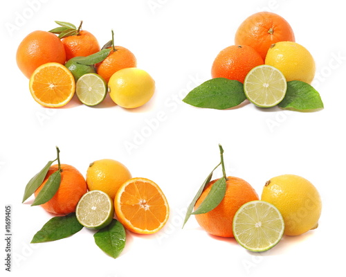 citrus collection 5