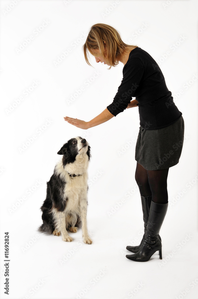 une jeune femme apprend à son chien à rester assis une jeune femme apprend à son chien à rester assis