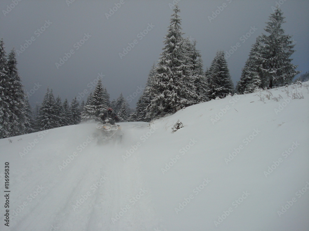 Obraz premium sulla neve
