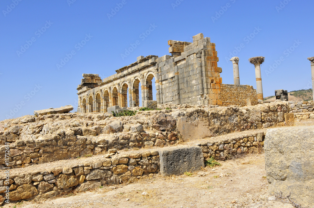 Obraz premium Roman Ruins of Volubillis
