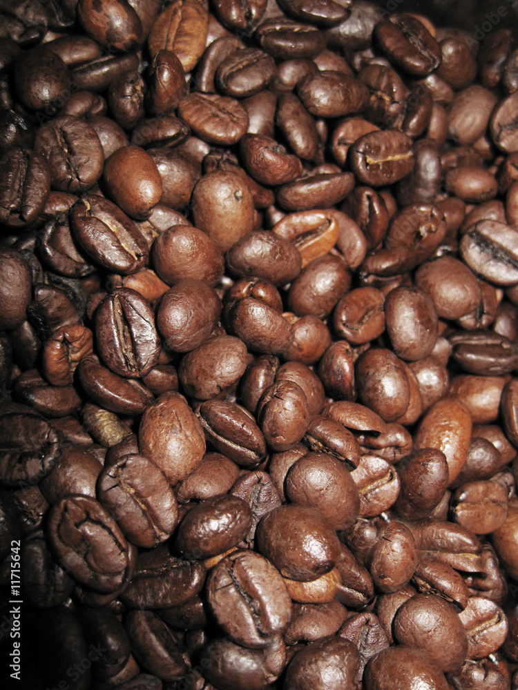 Naklejka premium Coffee Beans