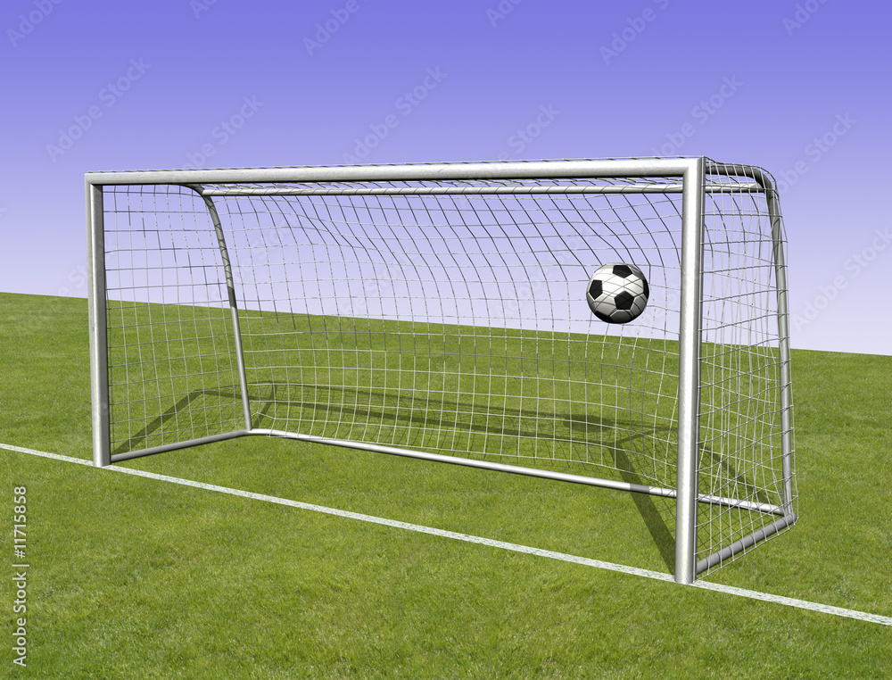 Fototapeta premium Fußballtor