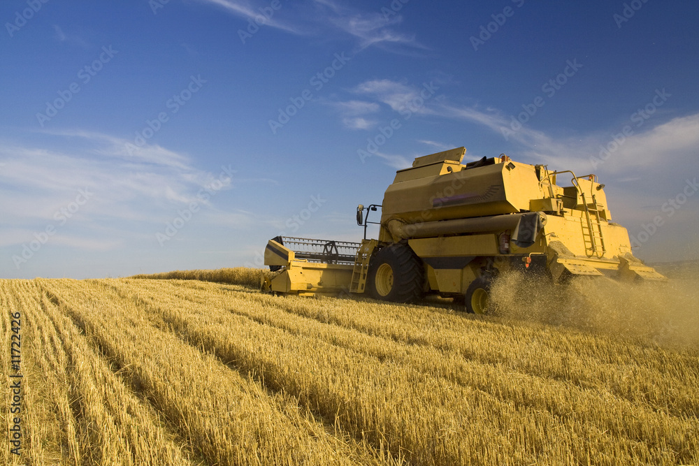 Fototapeta premium Agriculture - Combine