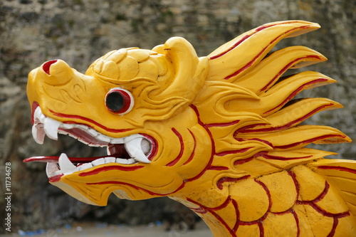 Dragon d'Asie