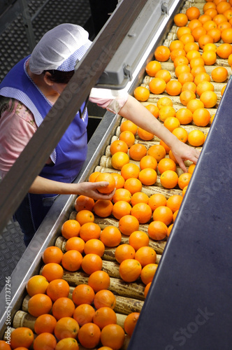 factory of oranges