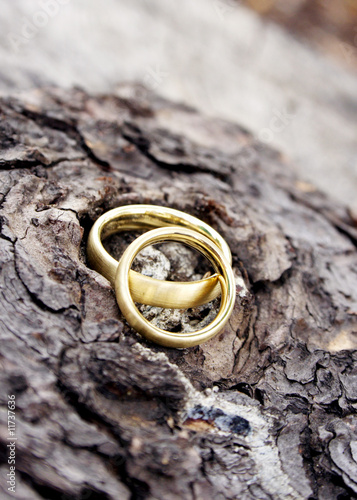 Wedding Rings 3