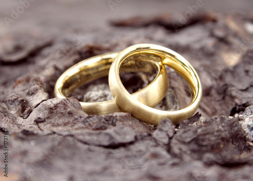 Wedding Rings 4