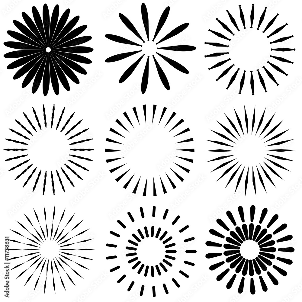 different illustration ornamental rosette different illustration ornamental rosette
