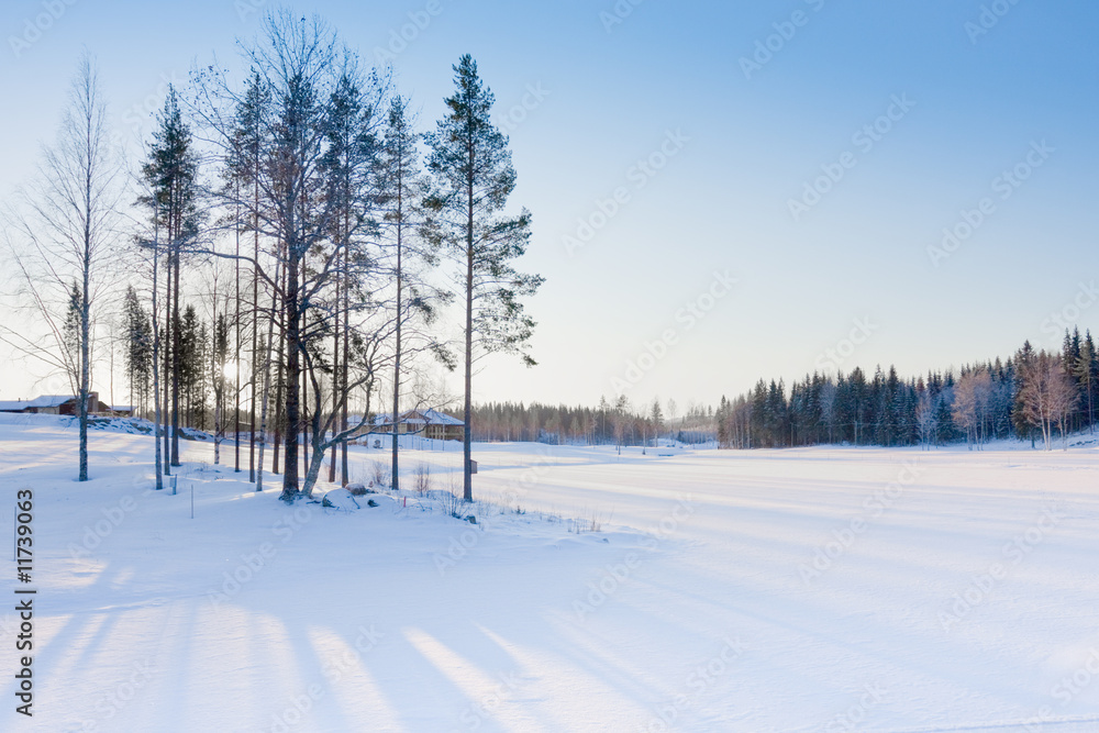 Obraz premium Winter landscape