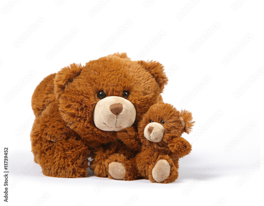 Obraz premium calin de ourson