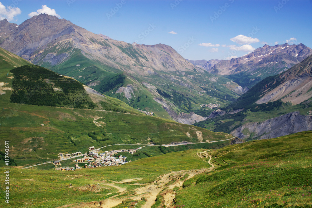 summer mountainside landscape