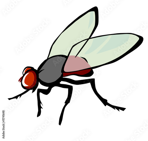 Fliege