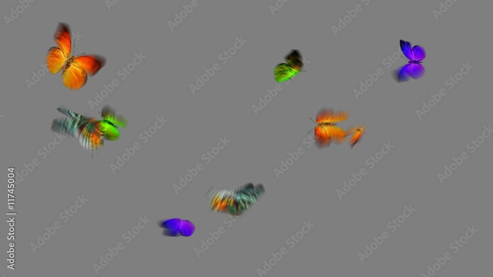 3D Butterflies, Loopable with Matte included 3D Butterflies, Loopable with Matte included