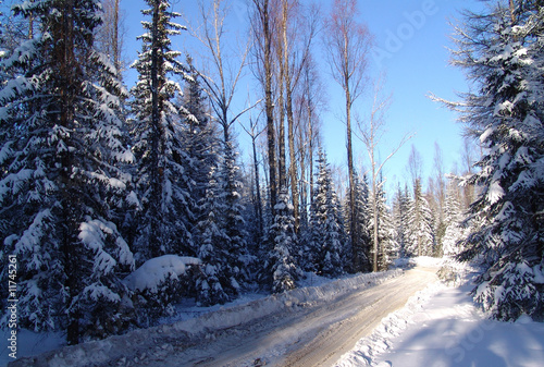 Zeya, Winter, Fairy forest, taiga, tundra, Siberia, far east