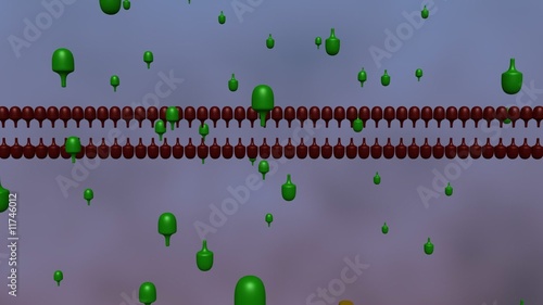 one cycle of a polymerase chain reaction (PCR) photo