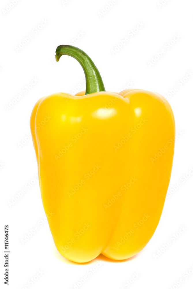 paprica paprica