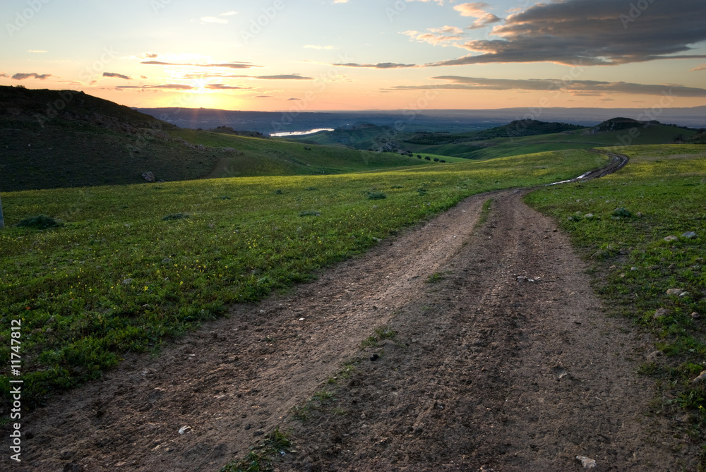 Fototapeta premium Track in grass to sunset